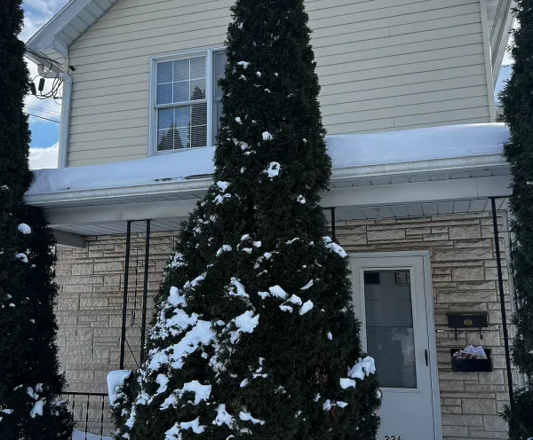 Charming Victorian with Modern Amenities